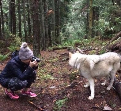 Taking a picture of Max, a wolf at an animal reserve in Washington State.
